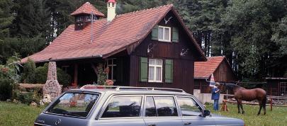 Mercedes-Benz 123 series (1975) - picture 20 of 24