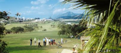 Volvo 262 (1975) - picture 4 of 11