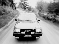 Volvo 343 (1976)