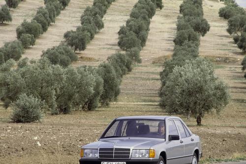 Mercedes-Benz 190 W201 series (1984) - picture 9 of 22