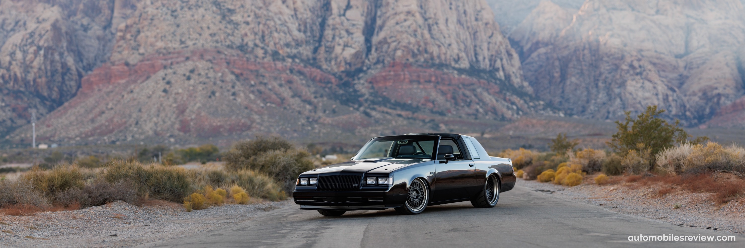 Salvaggio Design Buick Grand National