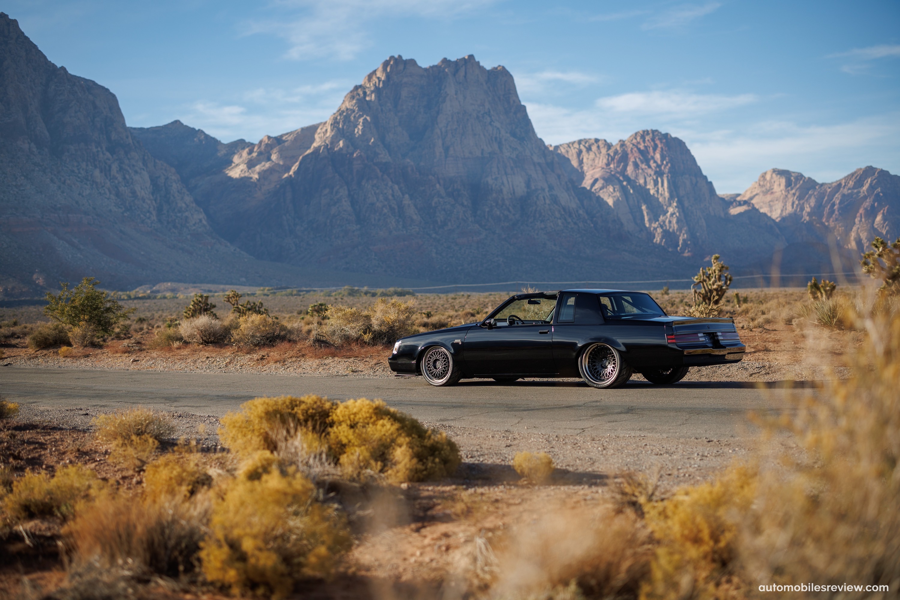 Salvaggio Design Buick Grand National