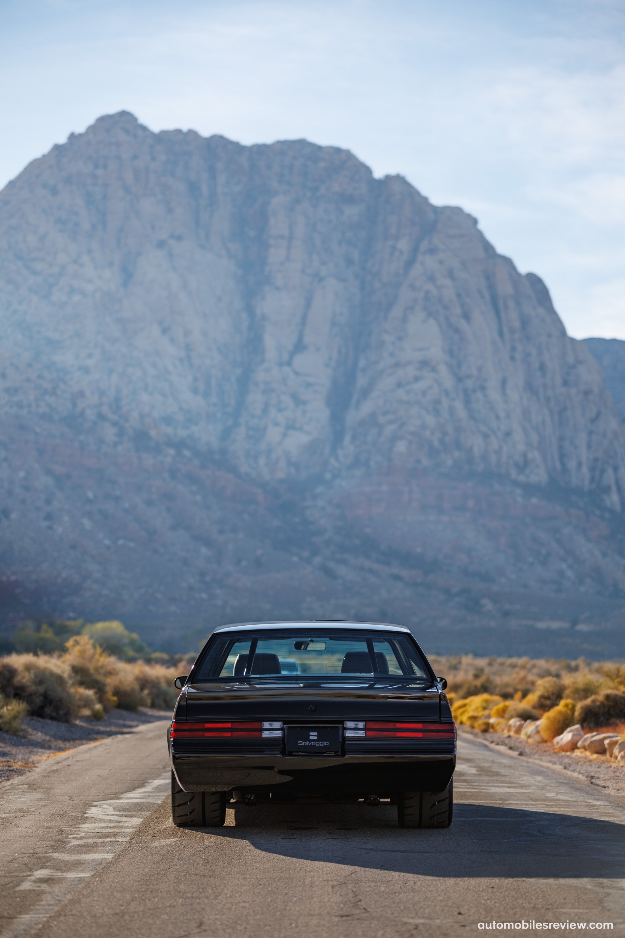 Salvaggio Design Buick Grand National