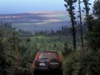 Honda CR-V (1997) - picture 6 of 6