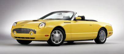 Ford Thunderbird (2002) - picture 28 of 47