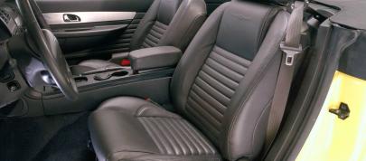 Ford Thunderbird (2002) - picture 36 of 47