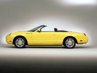 Ford Thunderbird (2002) - picture 37 of 47