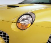 Ford Thunderbird (2002) - picture 38 of 47