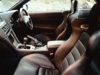 Nissan Skyline GT-R R34 (2002)