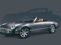 Ford Thunderbird (2003) - picture 3 of 3