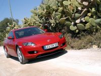 Mazda RX-8 (2003) - picture 43 of 97