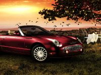 Ford Thunderbird (2005) - picture 1 of 6