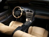 Ford Thunderbird (2005) - picture 5 of 6