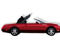 Ford Thunderbird (2005) - picture 5 of 6