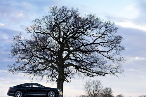 Mansory Bentley Continental GT (2005) - picture 8 of 25