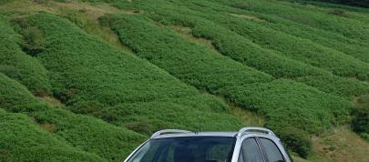 Fiat Sedici 1.9 Multijet (2006) - picture 4 of 8