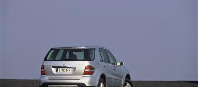 Mercedes-Benz ML420 CDI 4MATIC (2006) - picture 15 of 35