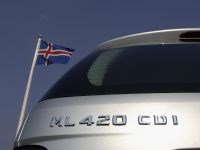 Mercedes-Benz ML420 CDI 4MATIC (2006) - picture 34 of 35