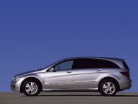 Mercedes-Benz R500 (2006) - picture 21 of 45