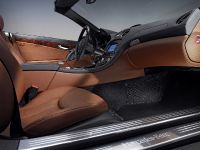 Mercedes-Benz SL500 (2006)