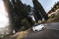 Lamborghini Murcielago LP640 Versace (2007)