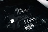 Lamborghini Murcielago LP640 Versace (2007)