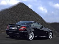 Mercedes-Benz SLK 55 AMG Black Series (2007)