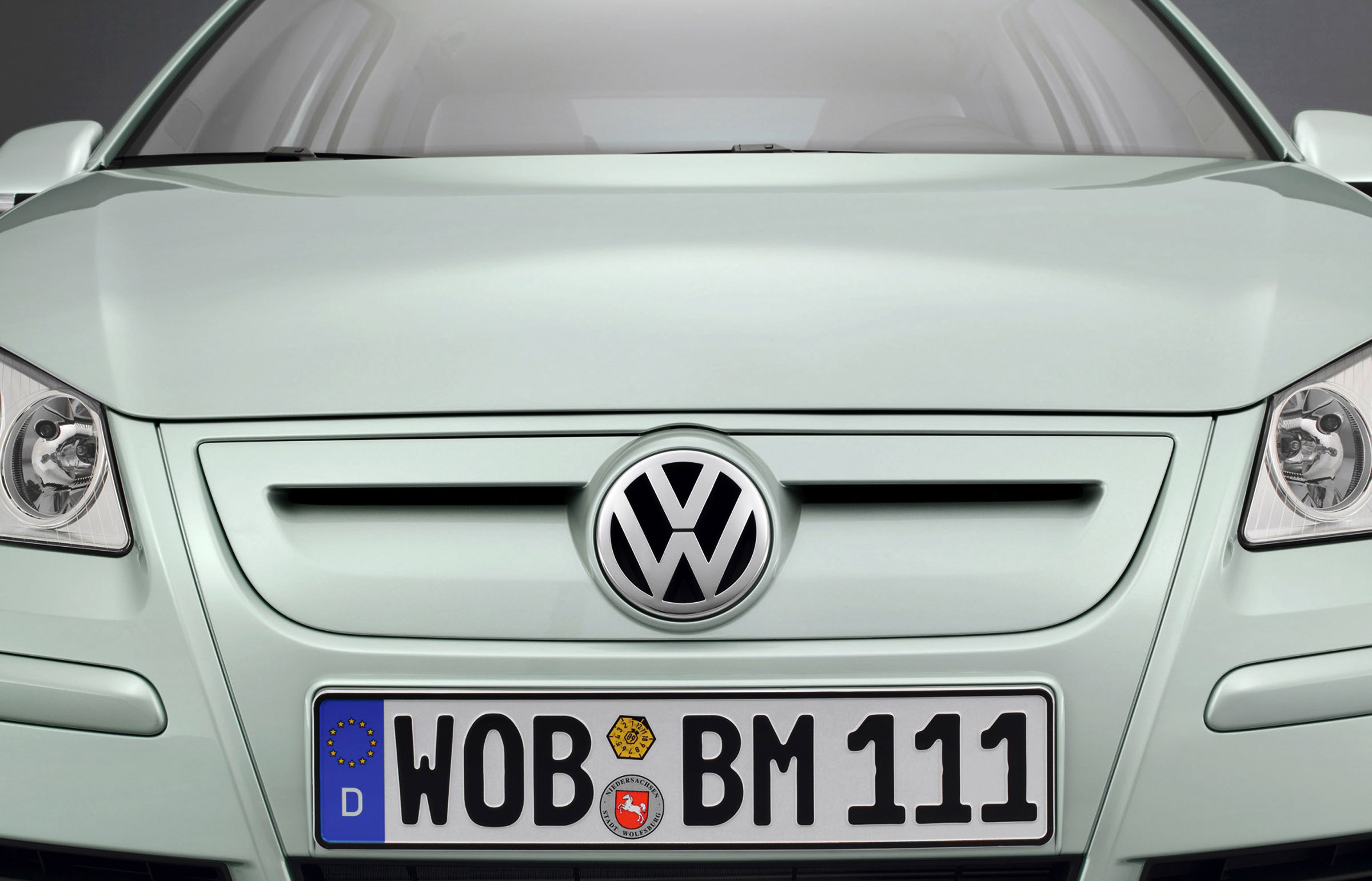 Volkswagen Polo Bluemotion