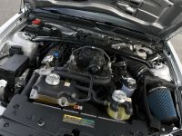 Ford Shelby GT500KR (2008) - picture 14 of 34