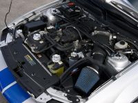 Ford Shelby GT500KR (2008)