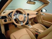 Porsche 911 Carrera &amp Carrera S (2009)