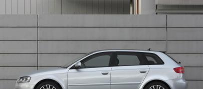 Audi A3 (Euro spec) (2009) - picture 4 of 9