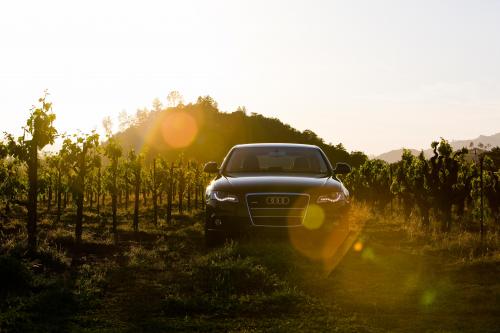 Audi A4 (2009) - picture 1 of 4