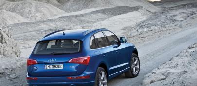 Audi Q5 (2009) - picture 4 of 21
