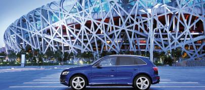 Audi Q5 (2009) - picture 7 of 21