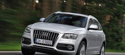 Audi Q5 (2009) - picture 12 of 21