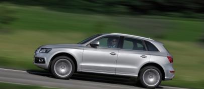 Audi Q5 (2009) - picture 15 of 21