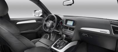 Audi Q5 (2009) - picture 20 of 21