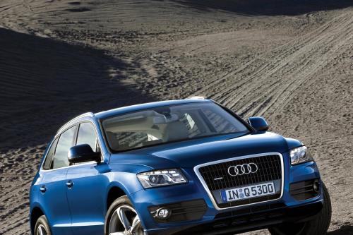 Audi Q5 (2009) - picture 1 of 21
