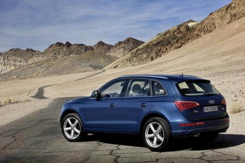 Audi Q5 (2009) - picture 8 of 21
