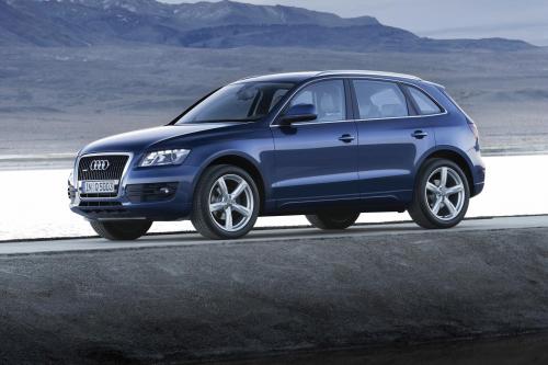 Audi Q5 (2009) - picture 9 of 21