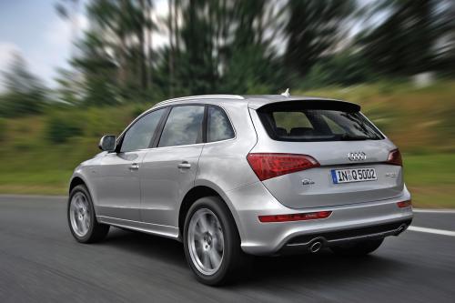 Audi Q5 (2009) - picture 16 of 21