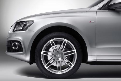 Audi Q5 (2009) - picture 17 of 21