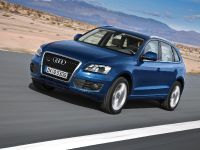 Audi Q5 (2009) - picture 5 of 21