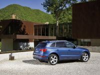 Audi Q5 (2009) - picture 6 of 21