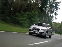 Audi Q5 (2009) - picture 14 of 21