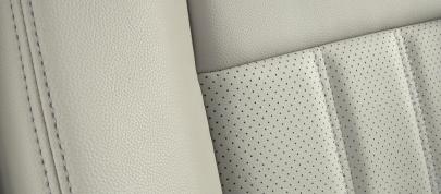 Chrysler Town & Country 25th Anniversary Edition (2009) - picture 4 of 6