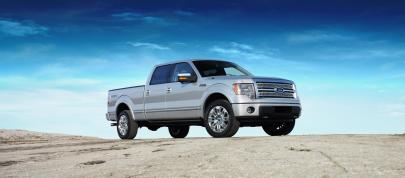 Ford F-150 (2009) - picture 12 of 18