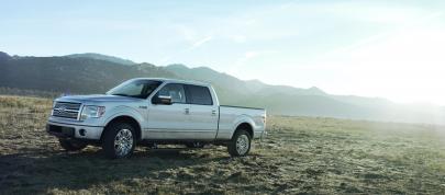 Ford F-150 (2009) - picture 15 of 18