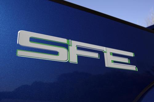 Ford F-150 (2009) - picture 1 of 18